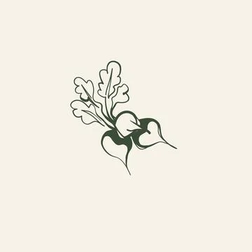 Hand Drawn Radish Vector Illustration, Line Art Root Vegetable Ilustración de archivo