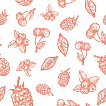 Hand Drawn Raspberry, Cherry and Blueberry Harvest Vector Seamless Background Illustrazione stock