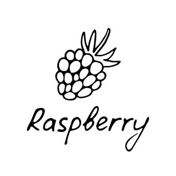 Hand drawn raspberry logo. Berry icon and raspberry inscription. Vector Stock Illustration