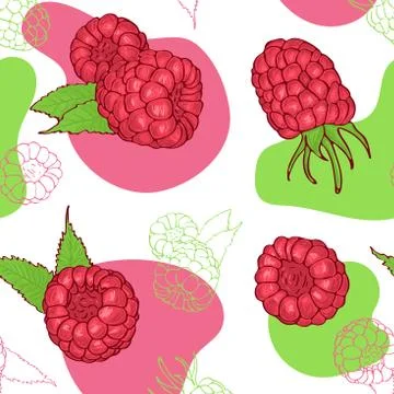 Hand drawn raspberry seamless pattern on white background. Stock Illustration