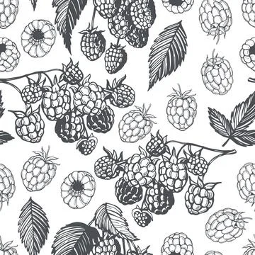 Hand-drawn  raspberry.  Vector  pattern. Stock Illustration
