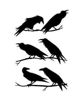 Hand drawn ravens Stock Illustration