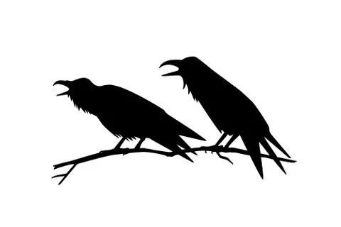 Hand drawn ravens Stock Illustration