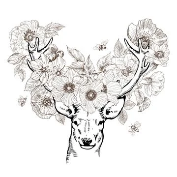 Hand drawn realistic deer surrounded by flowers. Beautiful highly detailed Stock Illustration