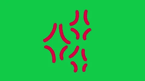 Hand Drawn Red Anime Anger Vein Symbol Animation on Green Screen Overlay 動画素材 336578944