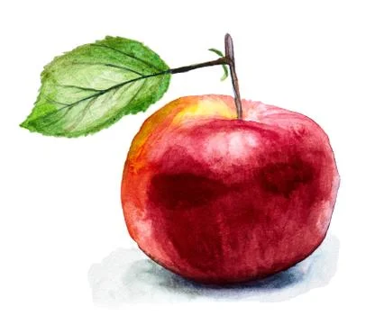 Hand drawn red apple isolated on white Stock Illustration