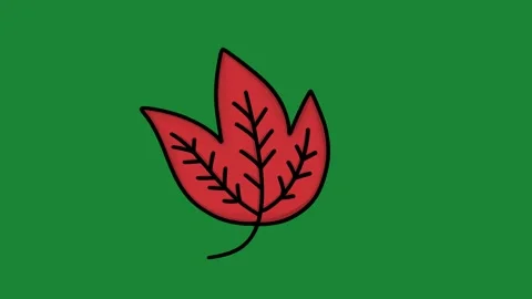 Hand-Drawn Red Fall Leaf 2D Animation on Green Screen | Vibrant Autumn Foliage Vídeos de archivo 334608867