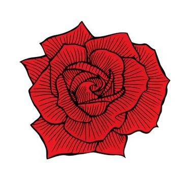 Hand drawn red rose Illustrazione stock
