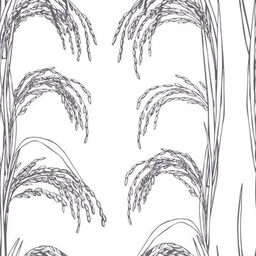 Hand drawn rice plants. Vector  pattern Stock Illustration