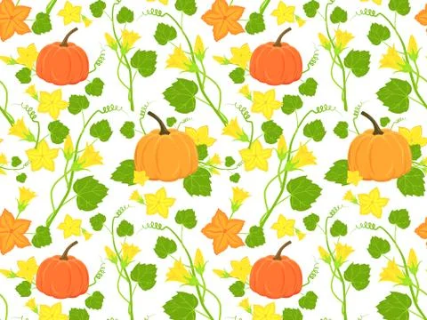 Hand drawn ripe pumpkin vector pattern Stock Illustration
