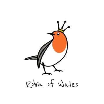 Hand drawn robin Stock Illustration