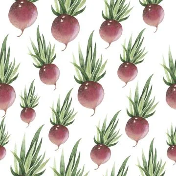 Hand-drawn root vegetables. Seamless nature background. Fresh organic sketch Stock Illustration