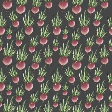 Hand-drawn root vegetables. Seamless nature background. Fresh organic sketch Stock Illustration