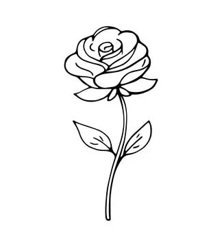 Hand drawn rose flower romantic love doodle illustration Stock Illustration