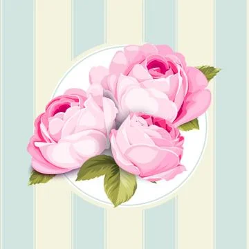 Hand drawn rose. Stock Illustration