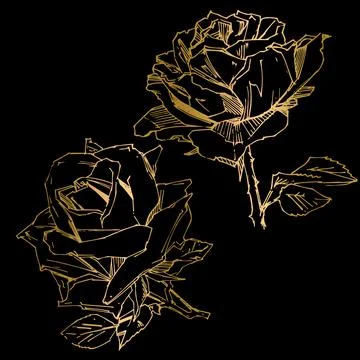 Hand drawn rose. Vector illustration. Vintage tattoo style rose. Flower motif Stock Illustration