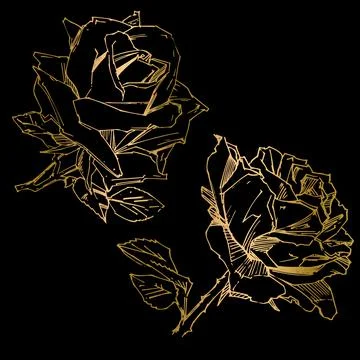 Hand drawn rose. Vector illustration. Vintage tattoo style rose. Flower motif Stock Illustration