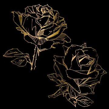 Hand drawn rose. Vector illustration. Vintage tattoo style rose. Flower motif Stock Illustration