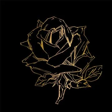 Hand drawn rose. Vector illustration. Vintage tattoo style rose. Flower motif Stock Illustration