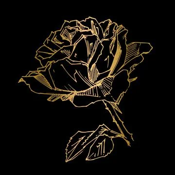 Hand drawn rose. Vector illustration. Vintage tattoo style rose. Flower motif Stock Illustration