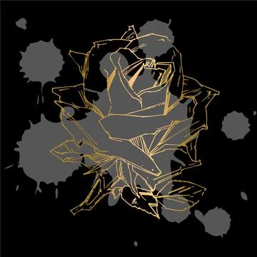 Hand drawn rose. Vector illustration. Vintage tattoo style rose. Flower motif Stock Illustration