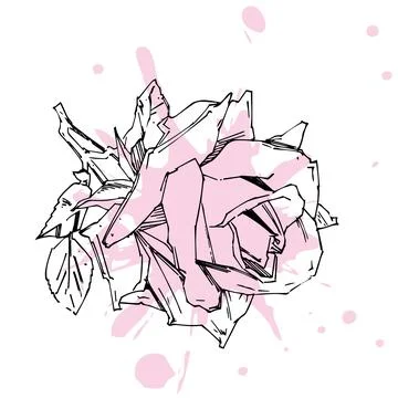 Hand drawn rose. Vector illustration. Vintage tattoo style rose. Flower motif Stock Illustration