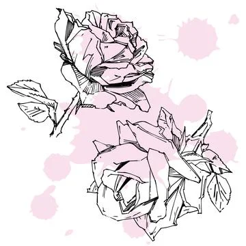 Hand drawn rose. Vector illustration. Vintage tattoo style rose. Flower motif Stock Illustration