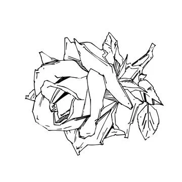 Hand drawn rose. Vector illustration. Vintage tattoo style rose. Flower motif Stock Illustration