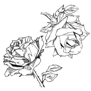 Hand drawn rose. Vector illustration. Vintage tattoo style rose. Flower motif Stock Illustration