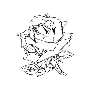 Hand drawn rose. Vector illustration. Vintage tattoo style rose. Flower motif Stock Illustration