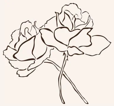 Hand drawn roses Stock Illustration