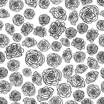 Hand drawn roses seamless pattern Stock Illustration
