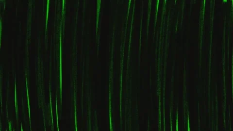 Hand-Drawn Rough Texture Scribble Transition with Green Screen Wipe Effect Stock Footage 320355760