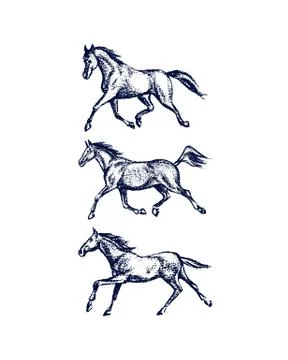 Hand drawn running horses Stock Illustration