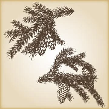 Hand drawn rustic vintage design vector elements. Forest collection of Stock Illustration