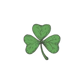 Hand Drawn Saint Patricks Day Color Vector Illustration. Green Trefoil or Clover Stock Illustration