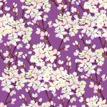 Hand drawn sakura design. Stock Illustration