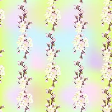 Hand drawn sakura design. Stock Illustration