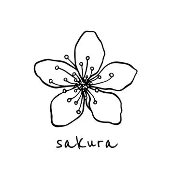 Hand drawn sakura flower Stock Illustration