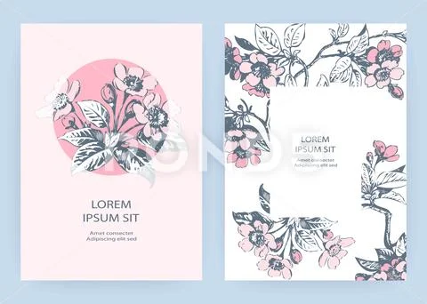 Hand drawn sakura pink blossom flowers and leaves on branches on white backgr Stock Illustration