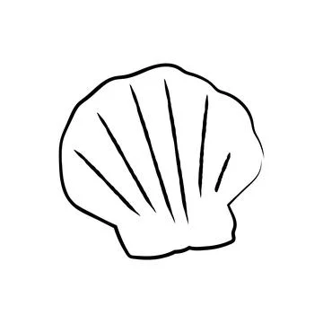 Hand drawn scallop seashell vector illustration line art sea element イラスト素材
