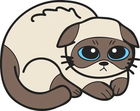 Hand Drawn scared or sad cat illustration in doodle style Illustration