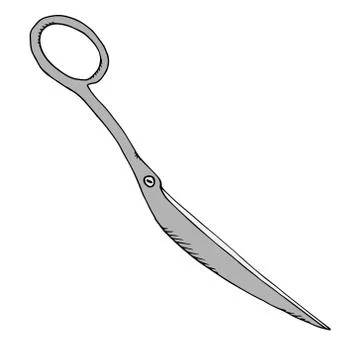 Hand drawn scissors. Stock Illustration