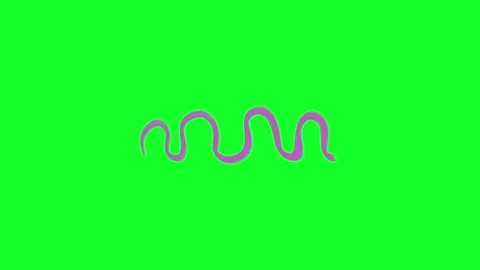 Neon Animation Green Screen 4K 