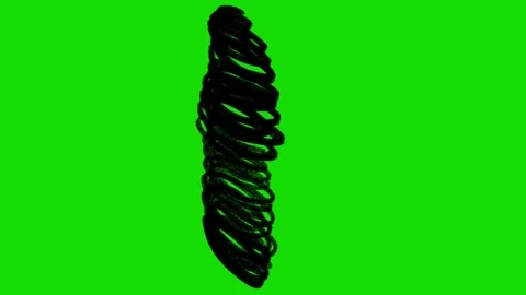 Hand Drawn Scribble Animation Green Screen– Doodle Stroke FX Stock-Footage 316958413