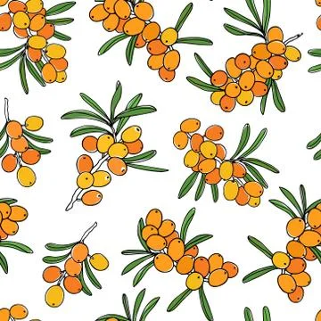 Hand drawn sea buckthorn pattern Stock Illustration