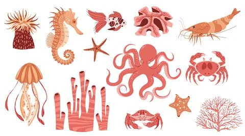 Hand drawn sea creatures in flat doodle style. Ocean inhabitants on an isol.. Stock Illustration