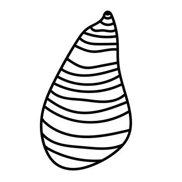 Hand-drawn sea shell outline in clean black and white vector format. Ideal .. Stock Illustration