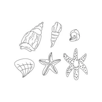 Hand drawn sea shells element doodle art isolated on white background Stock Illustration