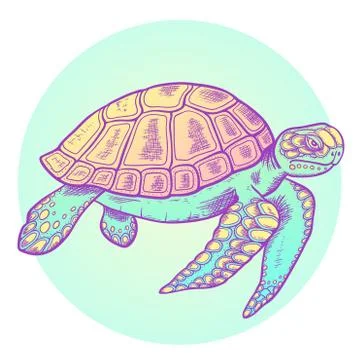 Hand drawn sea turtle Stock Illustration
